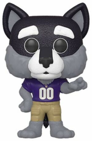 POP College: UW - Harry The Husky